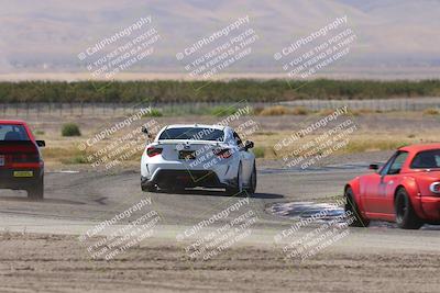 media/Oct-04-2025-OnGrid (Sat) [[44bd565ffa]]/Yellow Group/Grapevine/